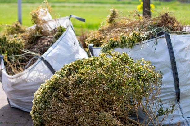 Yard Cleanup Services in Madison, NC